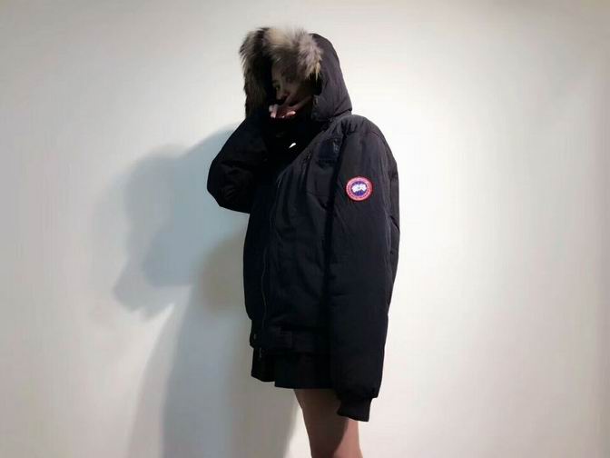 canada goose-002
